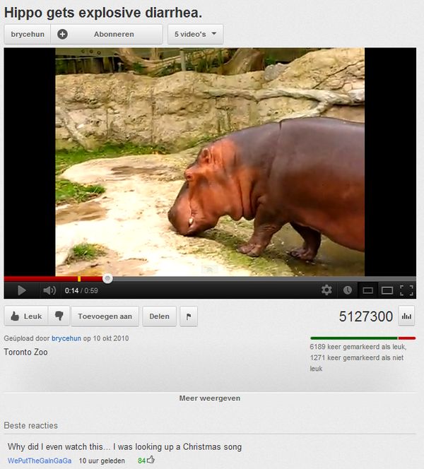 Hippo gets explosive diarrhea. Toronto Zoo Why did I even watch this... I was looking up a Christmas song
