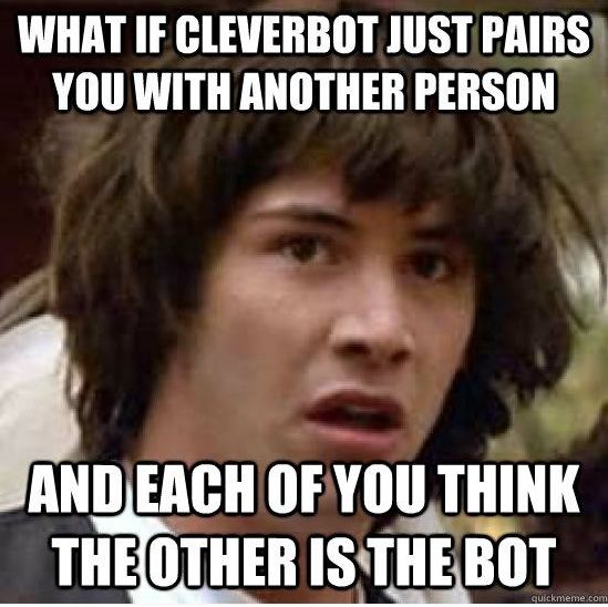 WHAT IF CLEVERBOT JUST PAIRS YOU WITH ANOTHER PERSON AND EACH OF YOU THINK THE OTHER IS THE BOT