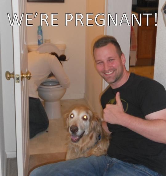 WE'RE PREGNANT!