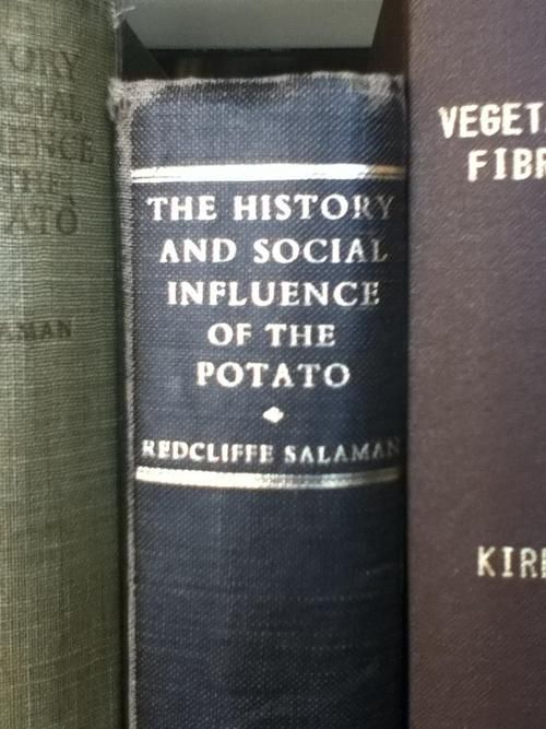 THE HISTORY AND SOCIAL INFLUENCE OF THE POTATO
 REDCLIFFE SALAMAN