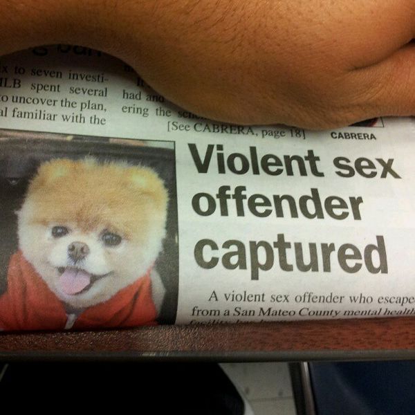 Violent sex offender captured
