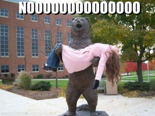 noooooo bear statue