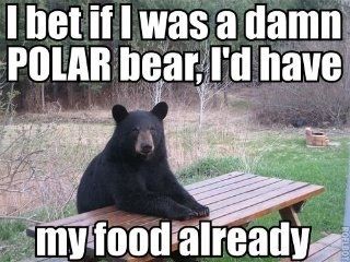 I bet if I was a damn POLAR bear, I'd have my food already