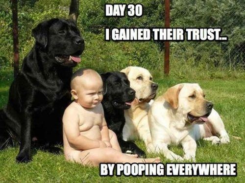 DAY 30
 I GAINED THEIR TRUST...
 BY POOPING EVERYWHERE