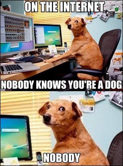 ON THE INTERNET
 NOBODY KNOWS YOU'RE A DOG
 NOBODY