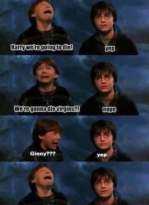 Harry we're going to die! yep We're gonna die virgins!!! nope Ginny??? yep