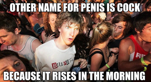 OTHER NAME FOR PENIS IS LOLLIPOP BECAUSE IT RISES IN THE MORNING