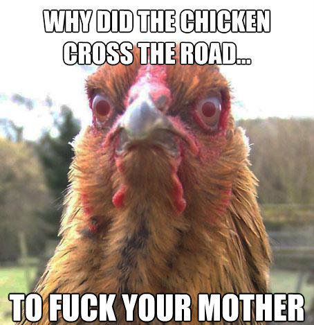 WHY DID THE CHICKEN CROSS THE ROAD... TO F✡✞K YOUR MOTHER