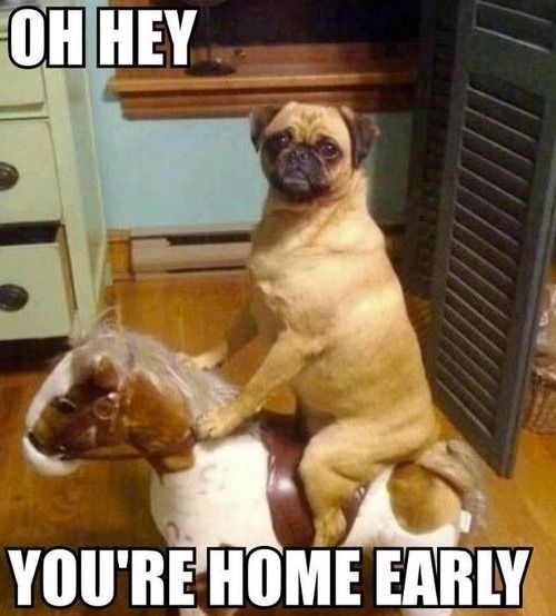 OH HEY
 YOU'RE HOME EARLY
