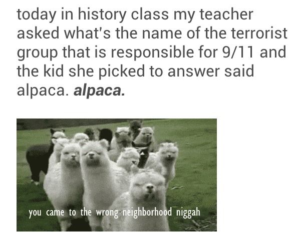 today in history class my teacher asked what's the name of the terrorist group that is responsible for 9/11 and the kid she picked to answer said alpaca. alpaca.
 you cam to the wrong neighborhood niggah