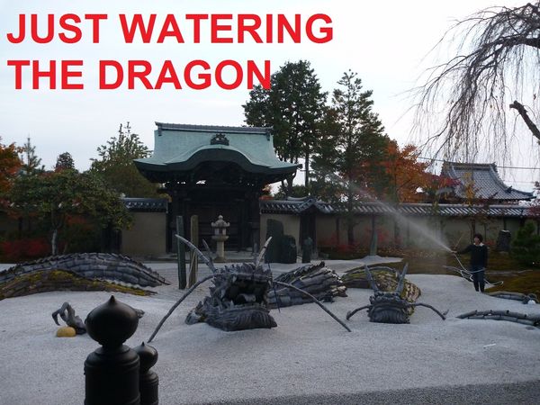 JUST WATERING THE DRAGON