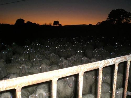 you came to the wrong neighborhood