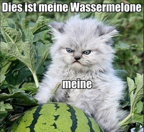 Dies ist meine Wassermelone
 meine