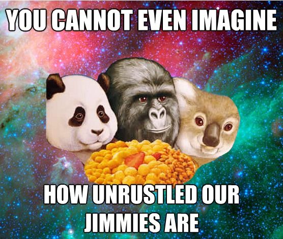 YOU CANNOT EVEN IMAGINE
 HOW UNRUSTLED OUR JIMMIES ARE