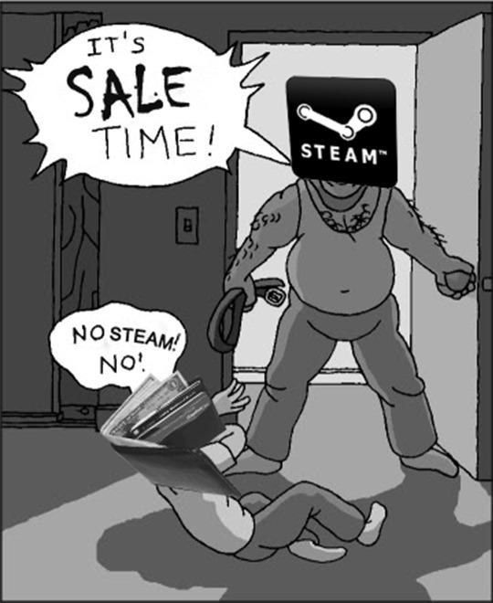 IT'S SALE TIME! NO, STEAM! NO!
