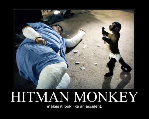 HITMAN MONKEY makes it look like an accident.