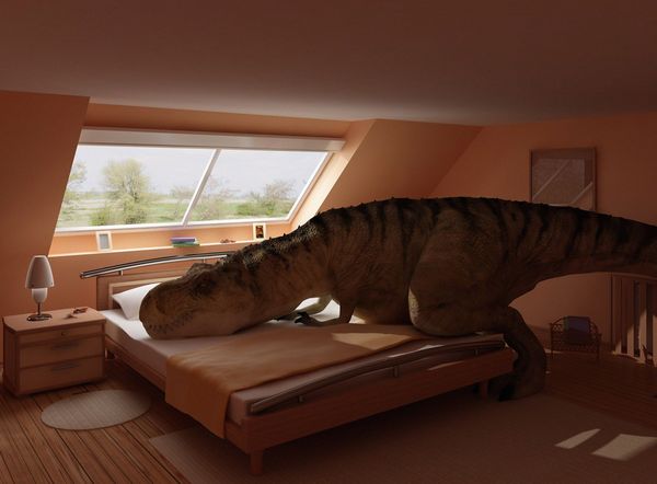 _rex_in_a_bedroom