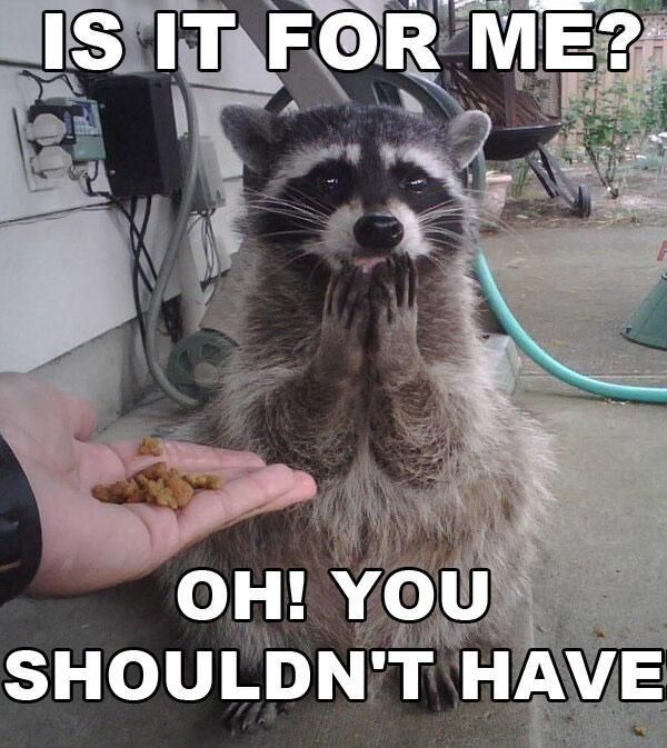 IS IT FOR ME? OH! YOU SHOULDN'T HAVE