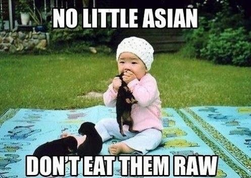 NO LITTLE ASIAN
 DON'T EAT THEM RAW