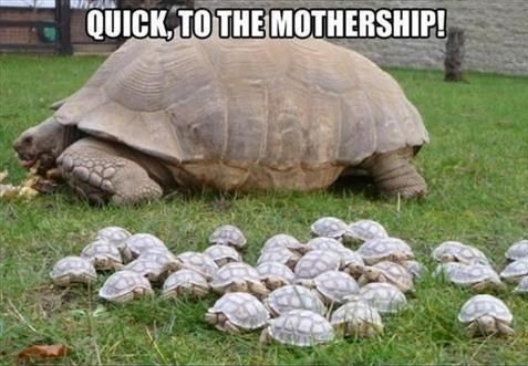 QUICK, TO THE MOTHERSHIP!