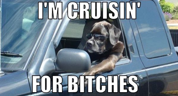 I'M CRUISIN' FOR YOUNG LADIES