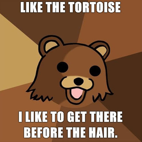 LIKE THE TORTOISE I LIKE TO GET THERE BEFORE THE HAIR.
