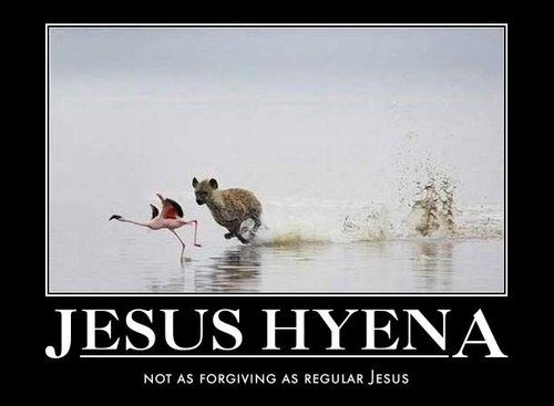 JESUS HYENA
 NOT AS FORGIVING AS REGULAR JESUS