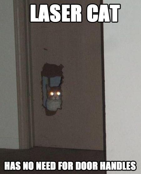 LASER CAT
 HAS NO NEED FOR DOOR HANDLES
