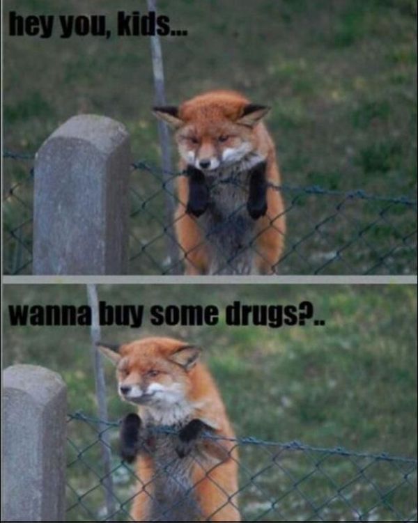 hey you, kids... wanna buy some drugs?..