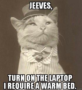 JEEVES, TURN ON THE LAPTOP I REQUIRE A WARM BED.