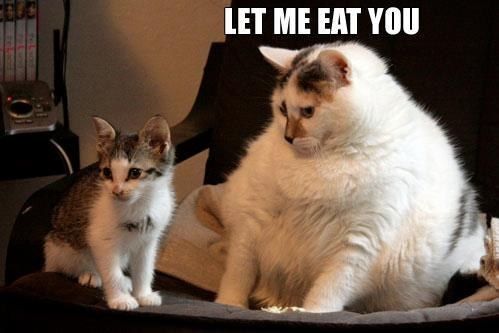 LET ME EAT YOU