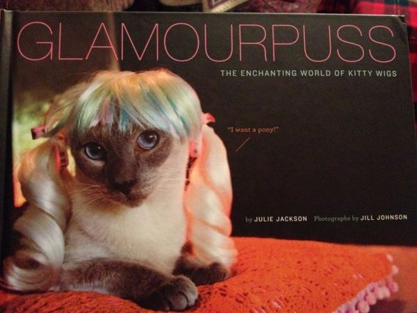 GLAMOURPUSS THE ENCHANTING WORLD OF KITTY WIGS 'I want a pony!'