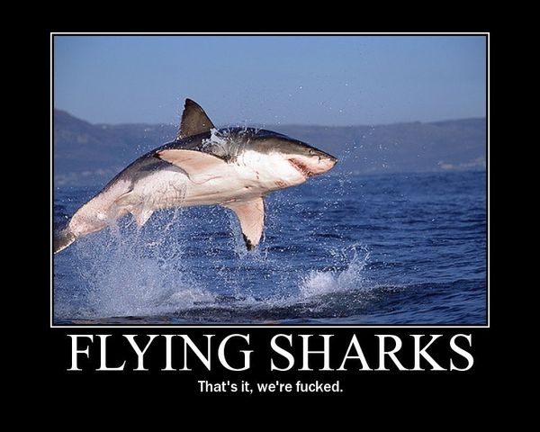 FLYING SHARKS That's it, we're f✡✝ked.
