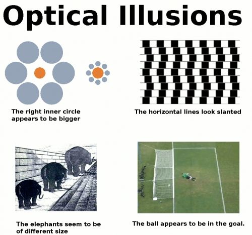 Optical Illusions The right inner circle appears to be bigger The horizontal lines look slanted The elephants seem to be of different size The ball appears to be in the goal.