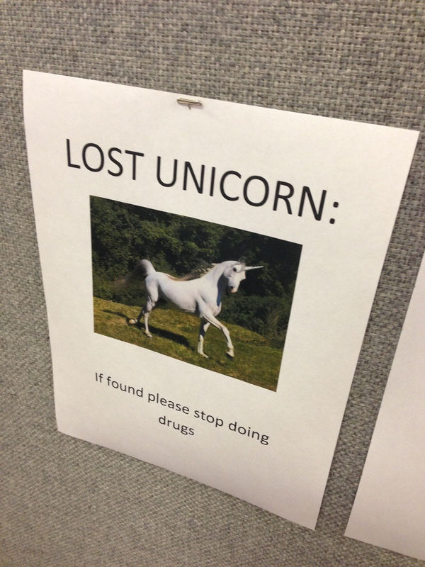 LOST UNICORN:
 If found please stop doing drugs