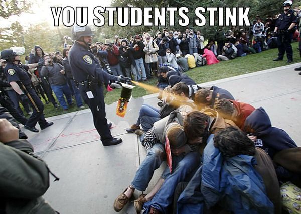 YOU STUDENTS STINK