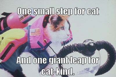 One small step for cat
 Add one giant leap for cat-kind.