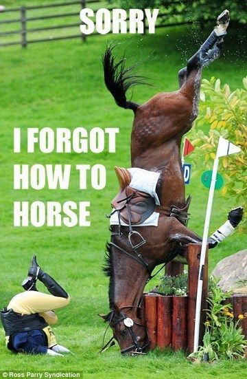 SORRY
 I FORGOT HOW TO HORSE