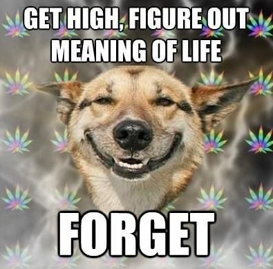GET HIGH, FIGURE OUT MEANING OF LIFE
 FORGET