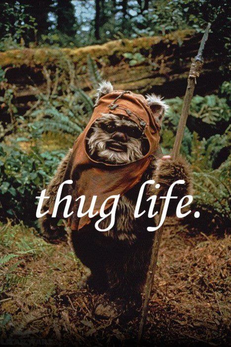 thug life.