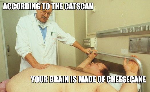 ACCORDING TO THE CATSCAN
 YOUR BRAIN IS MADE OF CHEESECAKE