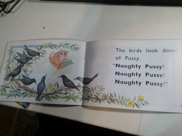 The birds look down at Pussy.
 Naughty Pussy
 Naughty Pussy
