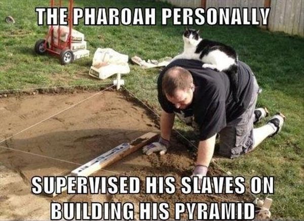 THE PHARAOH PERSONALLY SUPERVISED HIS SLAVES ON BUILDING HIS PYRAMID