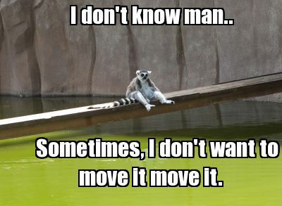I don't know man..
 Sometimes, I don't want to move it move it.
