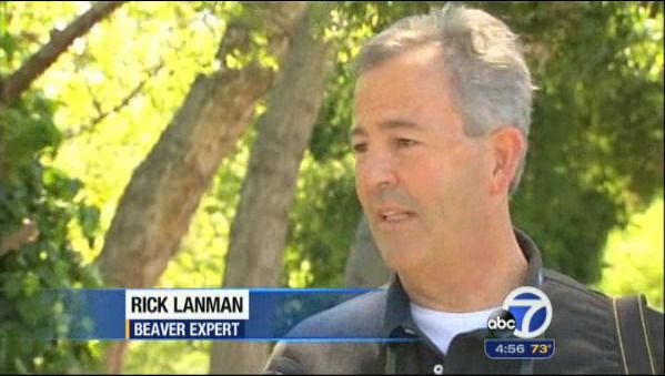 RICK LANMAN
 BEAVER EXPERT
