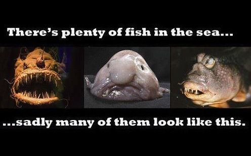 There's plenty of fish in the sea... ... sadly many of them look like this.