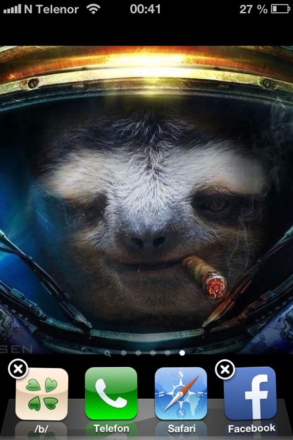 starcraft sloth