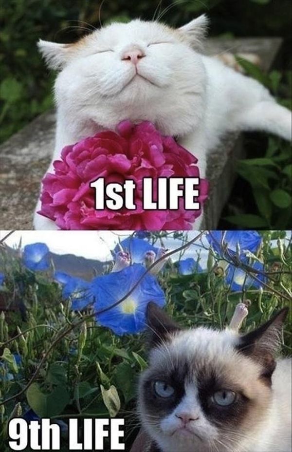 1st LIFE 9th LIFE