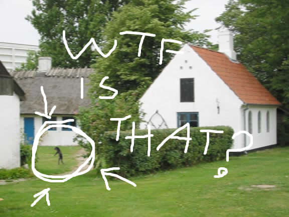 WTF IS THAT?