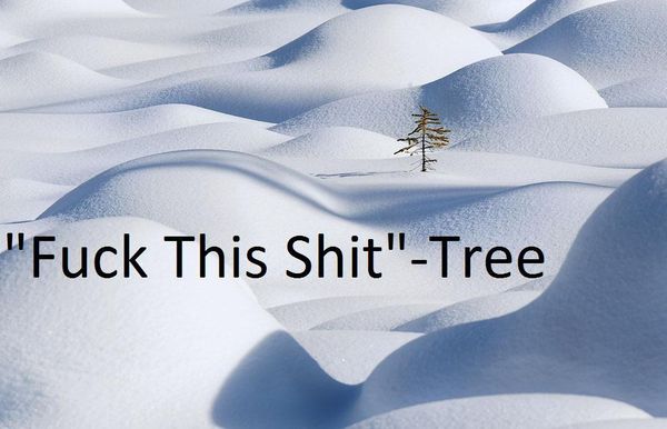 'F✡✞k This Shit' -Tree